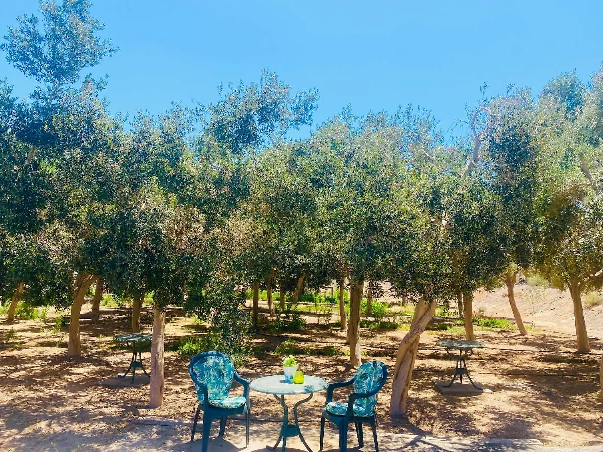 Elysium #Casa La Fuentita, Olivos&Naturaleza Gran Tarajal España
