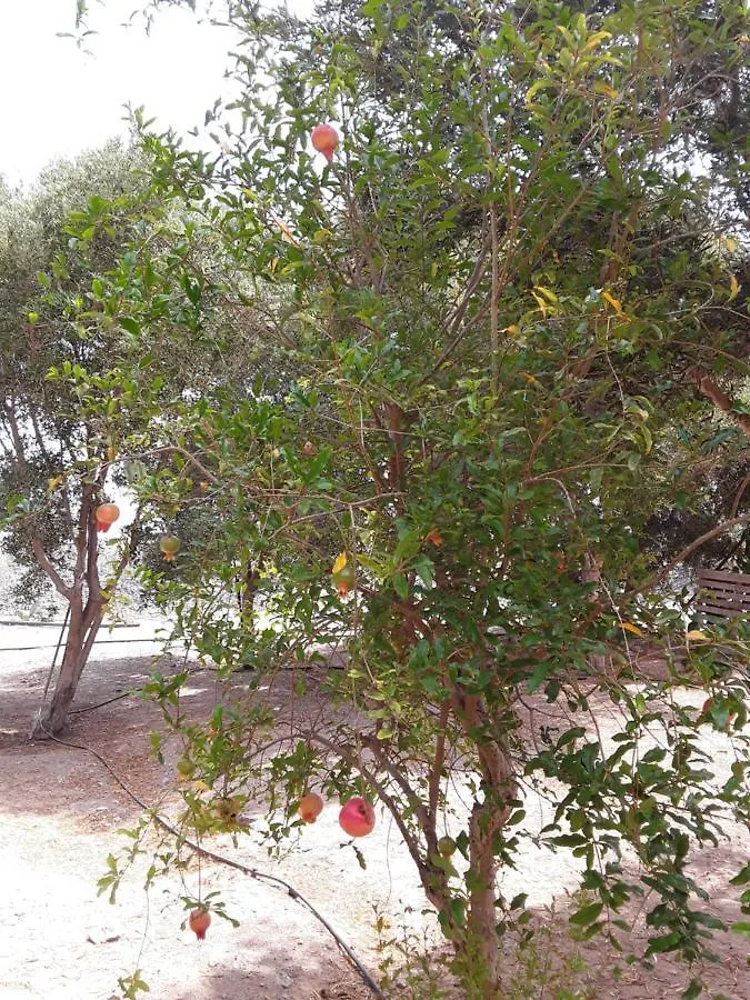 Olive Bungalow Gran Tarajal 0*,  İspanya